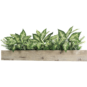 商品情報｜ベルク