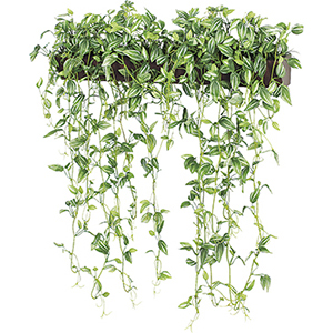 商品情報｜ベルク