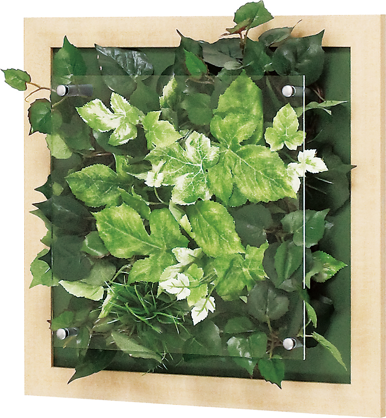 ウォールグリーン1】 オフィスやショップ、施設の壁を飾りたいと思っ  