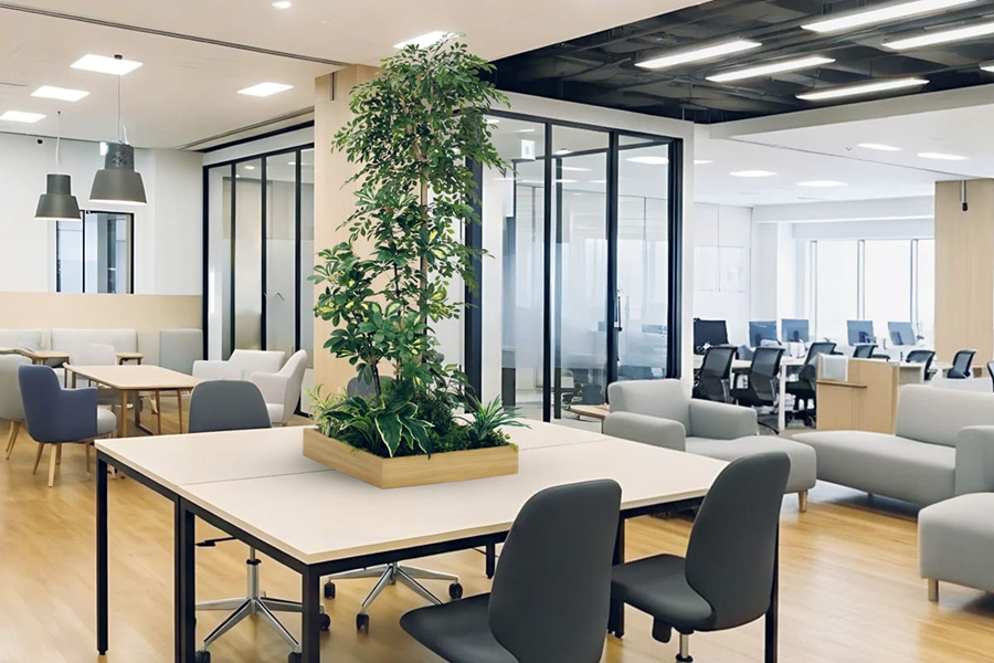 画像：テーブル樹木_施工事例