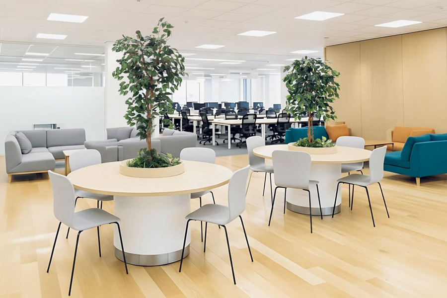 画像：テーブル樹木_施工事例