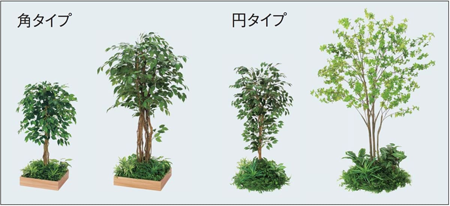 画像：テーブル樹木_2つのスタイル