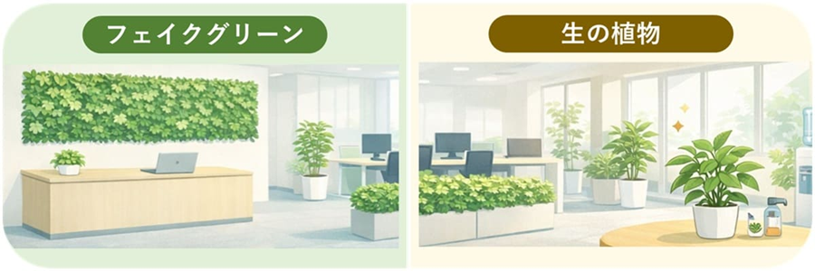 画像：生の植物とフェイクグリーン、どう選ぶ？_イラスト